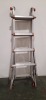 Extension Ladder & Parts