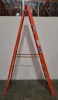 Werner Ladder - 2