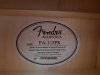 Fender Acoustic Guitar & Soft Case - 3