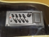 Ashtharpe Acoustic Guitar - 4