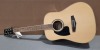 Ibanez Acoustic Guitar