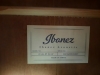 Ibanez Acoustic Guitar - 3