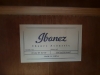 Ibanez Acoustic Guitar - 4