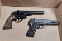 Pellet Guns