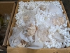 (5) Ctns Glasswae - 7