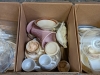 (10) Ctns Dishware - 8