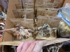 (2) Ctns Toys - 8
