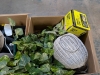 (6) Cns Household Items - 11