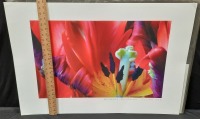 Prints