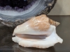 Geode, Sea Shell, & Stone Animal Figurines - 10