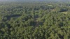 Land with Dwelling - 29