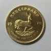 (2) 1oz Gold Coins (Pompano Beach, FL) - 5
