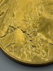 American Eagle $50.00 Gold Coin & Pendant Mounting (Riverside, CA) - 20