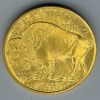 American Eagle $50.00 Gold Coin & Pendant Mounting (Riverside, CA) - 25