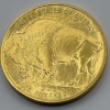 American Eagle $50.00 Gold Coin & Pendant Mounting (Riverside, CA) - 29