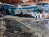 PULLED FROM AUCTION - Electric Tricycles, Golf Carts Excavator Accessories (EXPORT ONLY) (Vancouver, WA) - 5