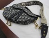 Christian Dior Monogrammed Saddle Bag Purse (Laredo, TX)