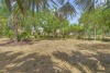 Estate Property - 10
