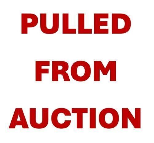 PULLED FROM AUCTION - Electric Go Karts (EXPORT ONLY) (Vancouver, WA)
