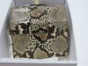 Christian Dior 30 Montaigne Python Bag (Laredo, TX) - 5
