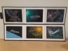(4) Star Trek Artwork - 6