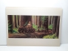1983 Star Was: Return of The Jedi Portfolio - 14