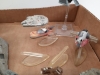 (1) Ctn Star Wars Miniature Models & Figures - 3