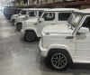 DoDo G600 Golf Carts (Export Only) (Deerfield, FL) - 20