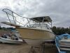 1985 25' Bayliner Cuddy (Spring Valley, CA) - 2026565800031701-001-0000 - 2