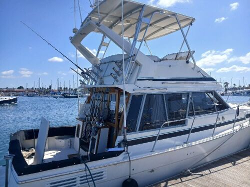 1989 34' Bayliner 3270 Cuddy Cabin (San Diego, CA) - 2026565000003003-001-0000