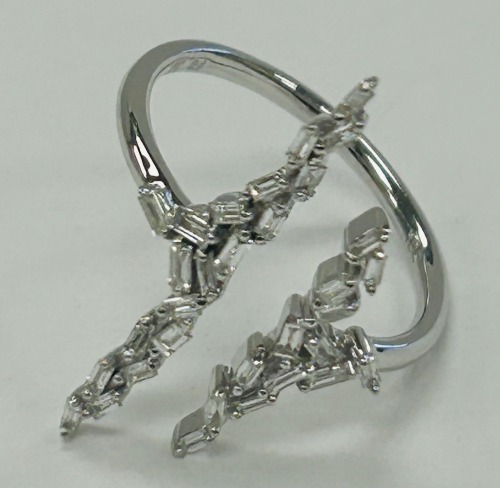 Gold & Silver Rings (Dayton, NJ)