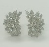 Platinum Diamond Earrings (Dayton, NJ)