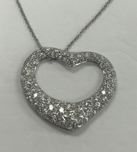 Tiffany & Co Pendant & Chain (Dayton, NJ)