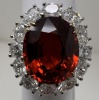 Platinum,Garnet & Diamond Ring (Dayton, NJ)