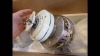 Toilets & Sinks/Ceiling Fans - EXPORT ONLY (Aqua Gulf/Jacksonville, FL) - 8