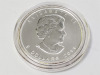 (16) 1oz Silver Canadian Coins - 5