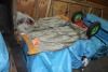 Miscellaneous Goods (Ports International/Miami, FL)