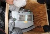 Mechanical Parts (Ports International/Miami, FL) - 12
