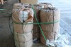 Skid Steer Loader/PP Combination Rope (WTDC/Miami, FL) - 8