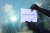 Clear Float Glass (WTDC/Miami, FL) - 2
