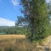 Single Family Home - 4