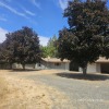 Single Family Home - 5