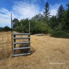 Single Family Home - 9