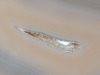 Polished Agate Slice - 3