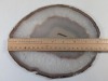 Polished Agate Slice - 5
