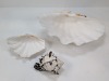 Seashells - 2