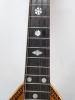Mandolin - 5