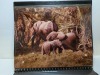 Assorted Photographs - 8