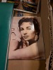 Headshots, Photos, & Postcards - 10