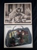 (8) Crime / Drama Lobby Cards - 3